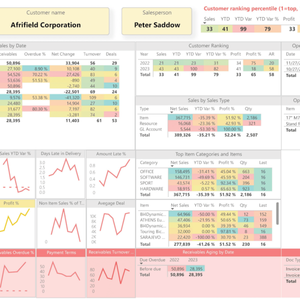 Individual Customer 360 View Dashboard